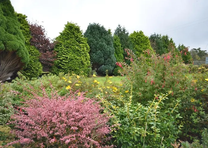 Gormans Country 호텔